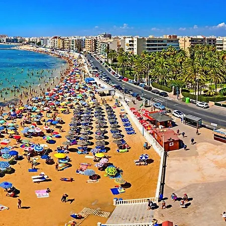 Golden In Palm Park Διαμέρισμα